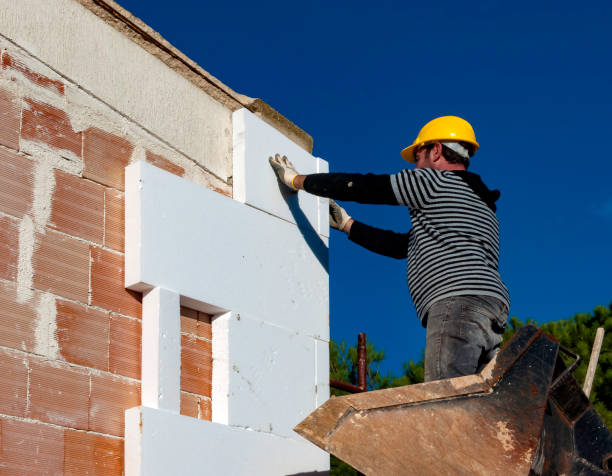Best Local Insulation Services  in Woodworth, OH