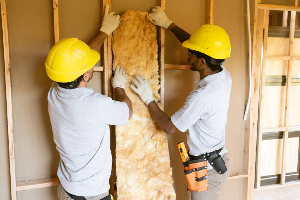 Best Insulation Repair Services  in Woodworth, OH