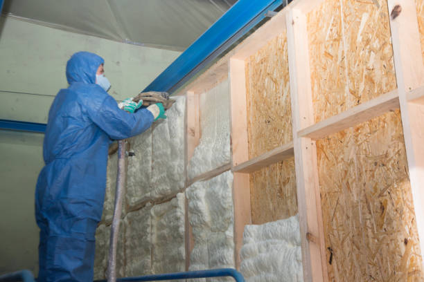 Best Local Insulation Services  in Woodworth, OH